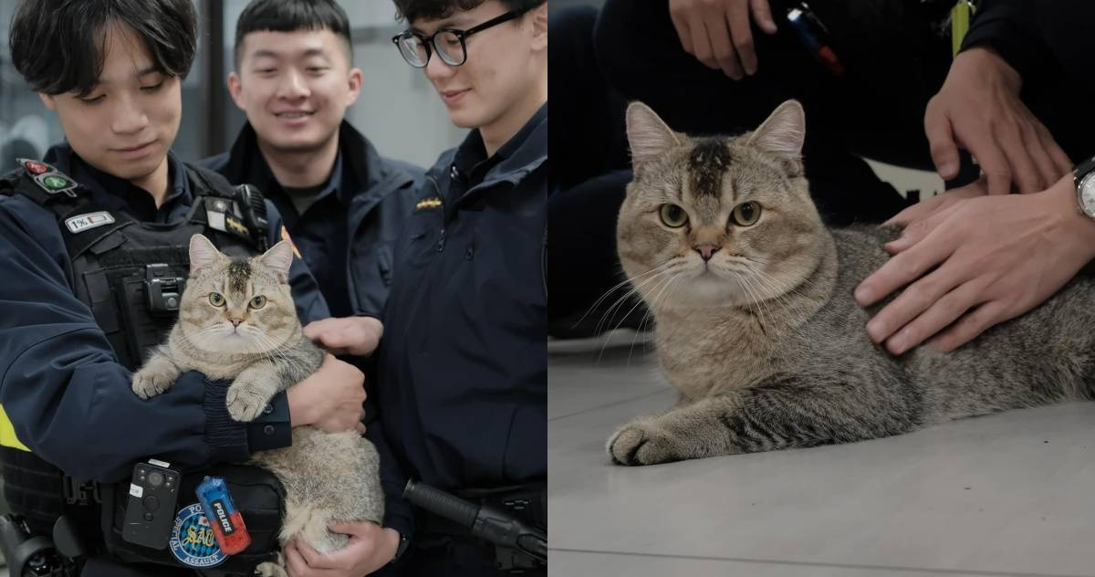 往後查看類別項目