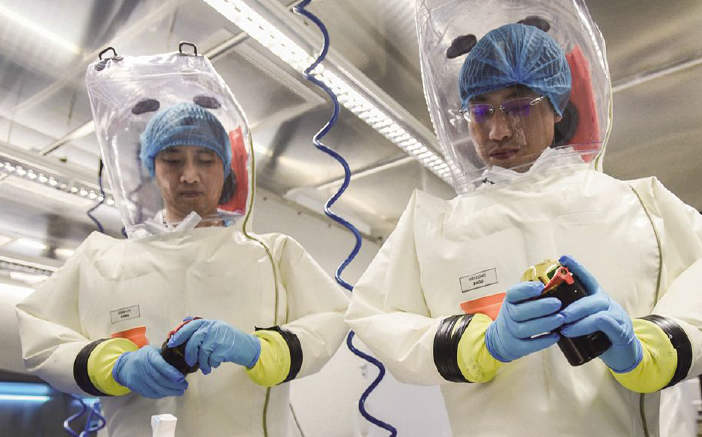 美900頁新文件再爆 武漢病毒所改造蝙蝠冠狀病毒 | 國際 | Newtalk新聞