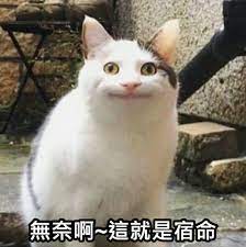 i.imgur.com